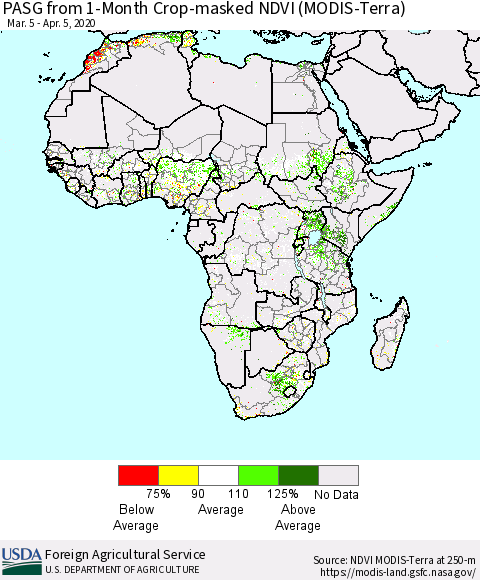 Africa PASG from 1-Month Cropland NDVI (Terra-MODIS) Thematic Map For 4/1/2020 - 4/10/2020