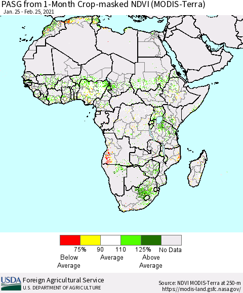 Africa PASG from 1-Month Cropland NDVI (Terra-MODIS) Thematic Map For 2/21/2021 - 2/28/2021