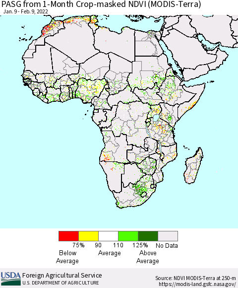 Africa PASG from 1-Month Cropland NDVI (Terra-MODIS) Thematic Map For 2/1/2022 - 2/10/2022