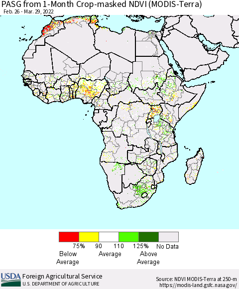 Africa PASG from 1-Month Cropland NDVI (Terra-MODIS) Thematic Map For 3/21/2022 - 3/31/2022