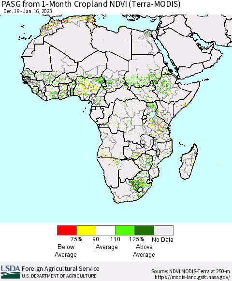 Africa PASG from 1-Month Cropland NDVI (Terra-MODIS) Thematic Map For 1/11/2023 - 1/20/2023