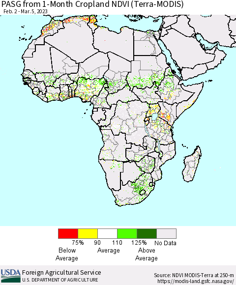Africa PASG from 1-Month Cropland NDVI (Terra-MODIS) Thematic Map For 3/1/2023 - 3/10/2023