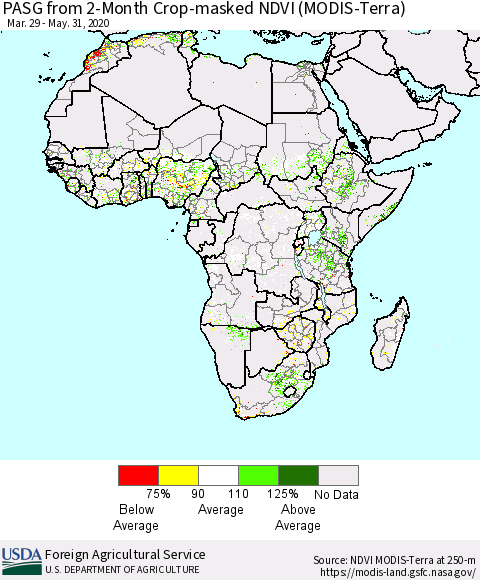 Africa PASG from 2-Month Cropland NDVI (Terra-MODIS) Thematic Map For 5/21/2020 - 5/31/2020