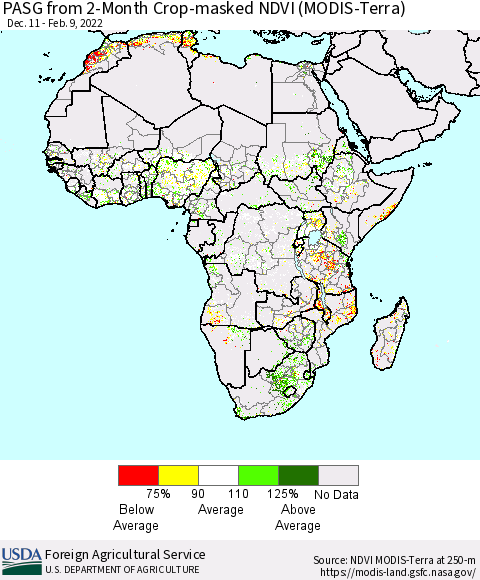 Africa PASG from 2-Month Cropland NDVI (Terra-MODIS) Thematic Map For 2/1/2022 - 2/10/2022