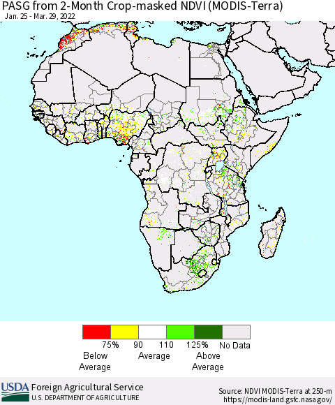 Africa PASG from 2-Month Cropland NDVI (Terra-MODIS) Thematic Map For 3/21/2022 - 3/31/2022
