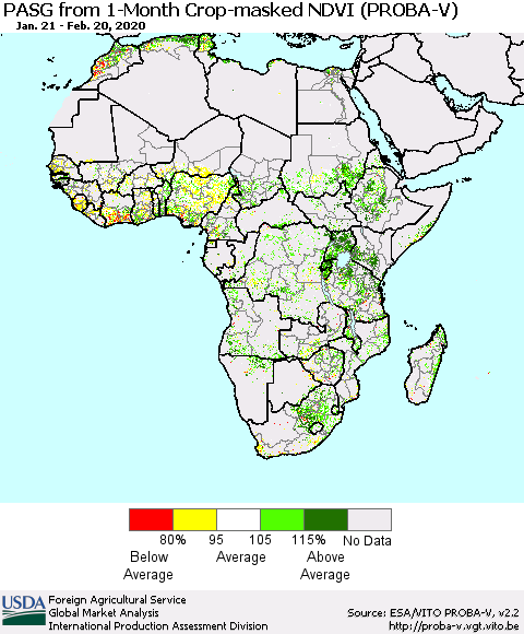 Africa PASG from 1-Month Crop-masked NDVI (PROBA-V) Thematic Map For 2/11/2020 - 2/20/2020