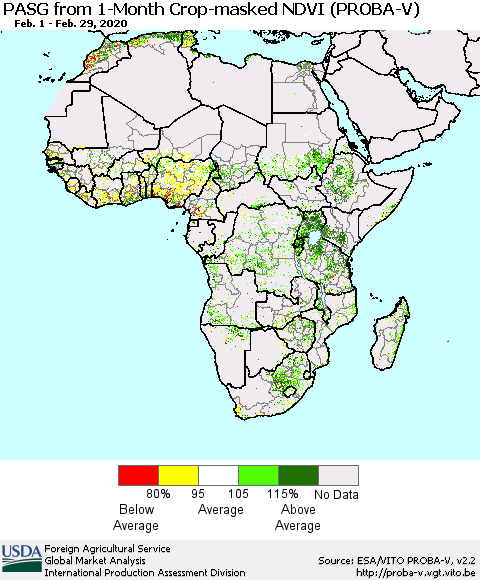 Africa PASG from 1-Month Crop-masked NDVI (PROBA-V) Thematic Map For 2/21/2020 - 2/29/2020