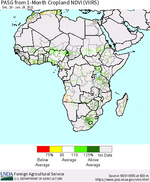 Africa PASG from 1-Month Cropland NDVI (VIIRS) Thematic Map For 1/21/2021 - 1/31/2021
