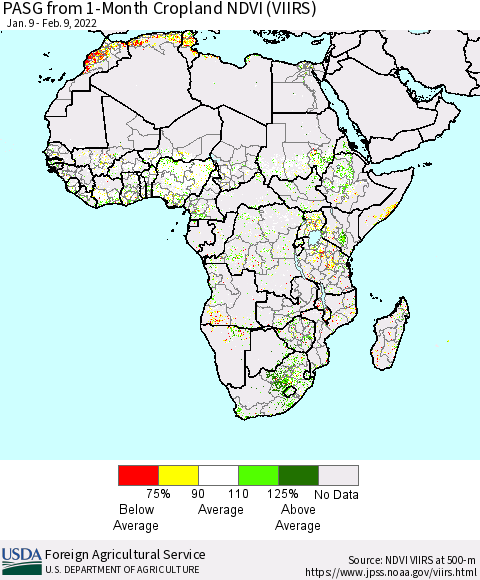 Africa PASG from 1-Month Cropland NDVI (VIIRS) Thematic Map For 2/1/2022 - 2/10/2022