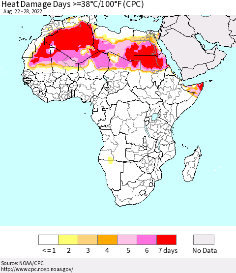 Africa Heat Damage Days >=38°C/100°F (CPC) Thematic Map For 8/22/2022 - 8/28/2022