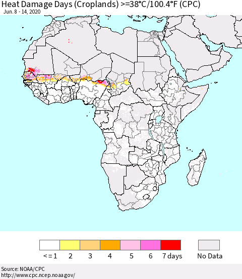 Africa Heat Damage Days (Croplands) >=38°C/100°F (CPC) Thematic Map For 6/8/2020 - 6/14/2020
