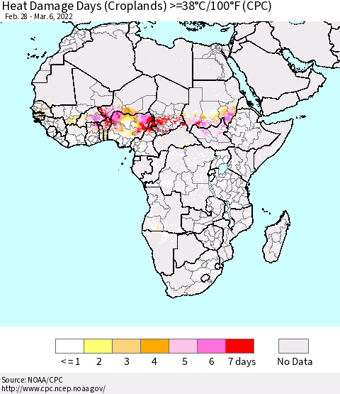 Africa Heat Damage Days (Croplands) >=38°C/100°F (CPC) Thematic Map For 2/28/2022 - 3/6/2022