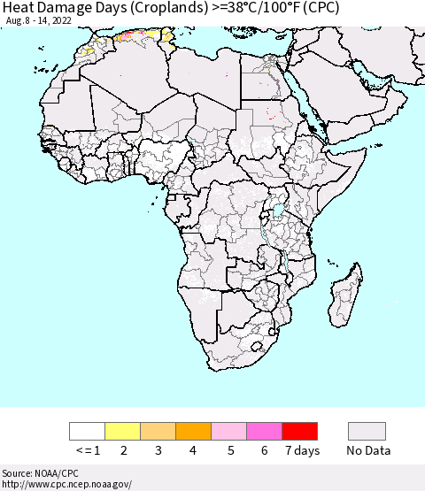 Africa Heat Damage Days (Croplands) >=38°C/100°F (CPC) Thematic Map For 8/8/2022 - 8/14/2022