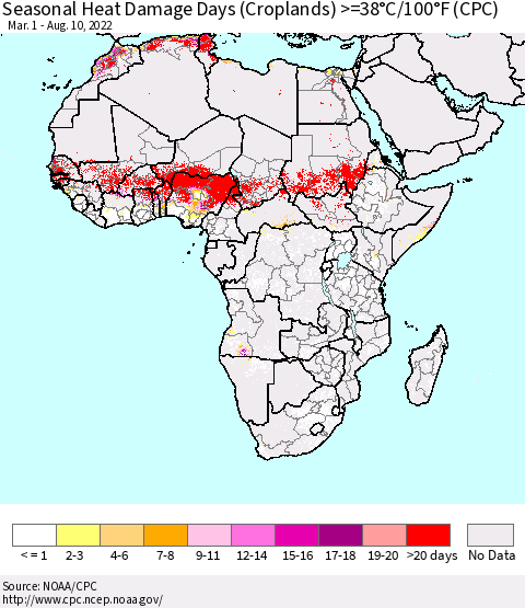 Africa Seasonal Heat Damage Days (Croplands) >=38°C/100°F (CPC) Thematic Map For 3/1/2022 - 8/10/2022