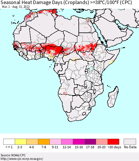 Africa Seasonal Heat Damage Days (Croplands) >=38°C/100°F (CPC) Thematic Map For 3/1/2022 - 8/31/2022
