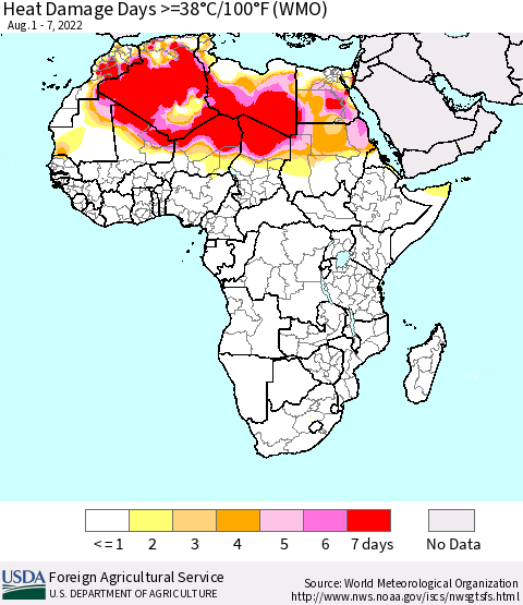 Africa Heat Damage Days >=38°C/100°F (WMO) Thematic Map For 8/1/2022 - 8/7/2022