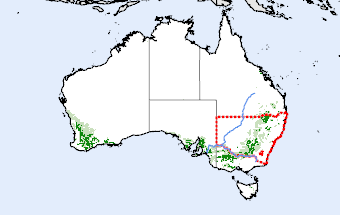 New South Wales
