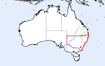 New South Wales