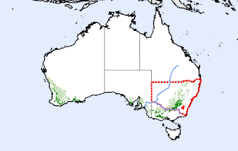 New South Wales