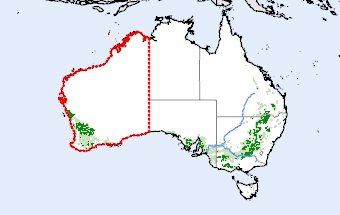 Western Australia