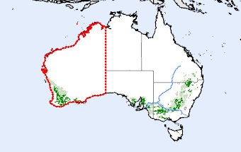 Western Australia