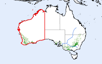 Western Australia