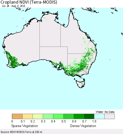 Australia Cropland NDVI (Terra-MODIS) Thematic Map For 7/28/2021 - 8/4/2021