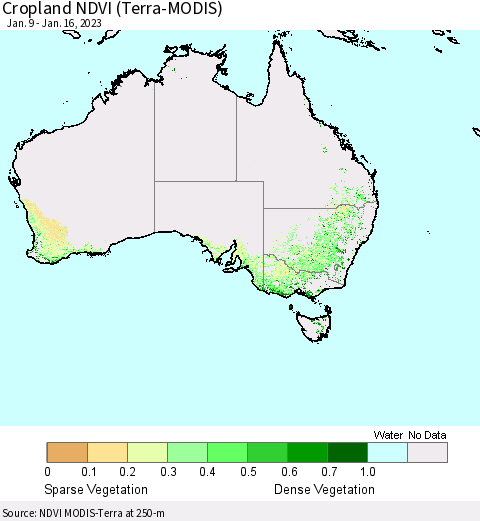 Australia Cropland NDVI (Terra-MODIS) Thematic Map For 1/9/2023 - 1/16/2023