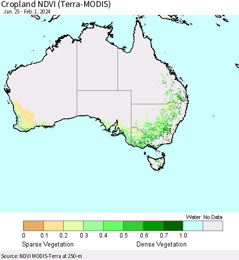 Australia Cropland NDVI (Terra-MODIS) Thematic Map For 1/25/2024 - 2/1/2024