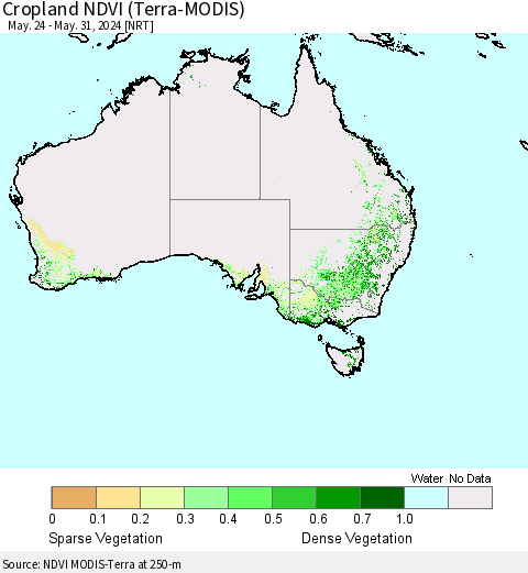 Australia Cropland NDVI (Terra-MODIS) Thematic Map For 5/24/2024 - 5/31/2024