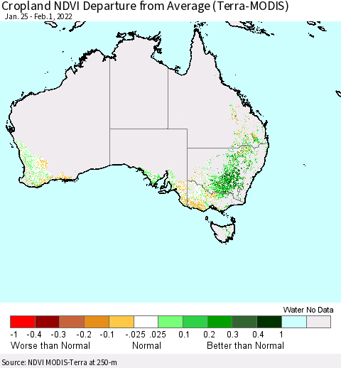 Australia Cropland NDVI Departure from Average (Terra-MODIS) Thematic Map For 1/25/2022 - 2/1/2022
