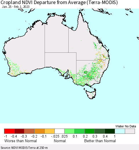Australia Cropland NDVI Departure from Average (Terra-MODIS) Thematic Map For 1/25/2023 - 2/1/2023