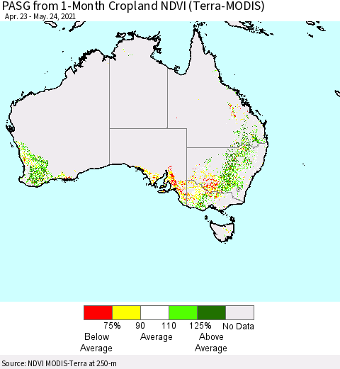 Australia PASG from 1-Month Cropland NDVI (Terra-MODIS) Thematic Map For 5/17/2021 - 5/24/2021