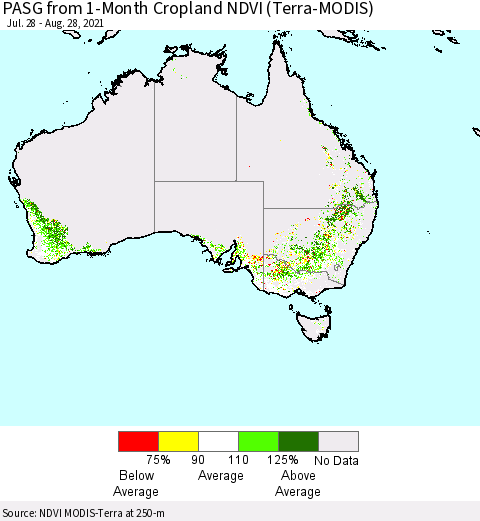 Australia PASG from 1-Month Cropland NDVI (Terra-MODIS) Thematic Map For 8/21/2021 - 8/28/2021