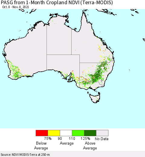 Australia PASG from 1-Month Cropland NDVI (Terra-MODIS) Thematic Map For 11/1/2021 - 11/8/2021