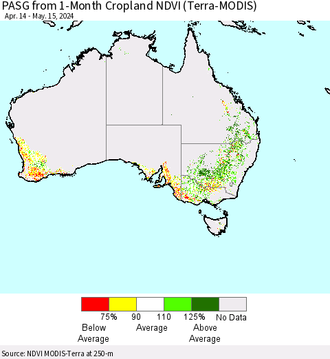 Australia PASG from 1-Month Cropland NDVI (Terra-MODIS) Thematic Map For 5/8/2024 - 5/15/2024