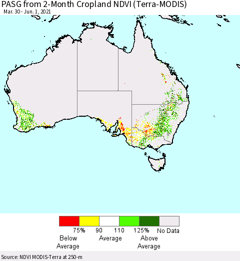 Australia PASG from 2-Month Cropland NDVI (Terra-MODIS) Thematic Map For 5/25/2021 - 6/1/2021