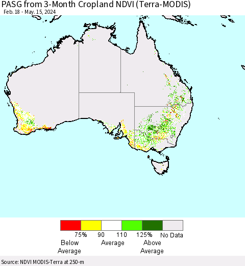 Australia PASG from 3-Month Cropland NDVI (Terra-MODIS) Thematic Map For 5/8/2024 - 5/15/2024