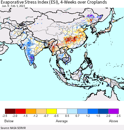 Asia Evaporative Stress Index (ESI), 4-Weeks over Croplands Thematic Map For 1/30/2023 - 2/5/2023
