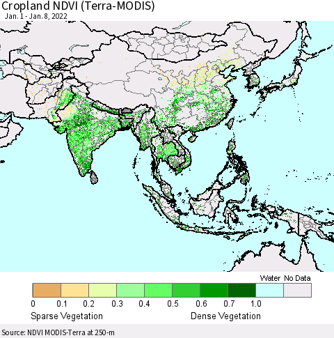 Asia Cropland NDVI (Terra-MODIS) Thematic Map For 1/1/2022 - 1/8/2022