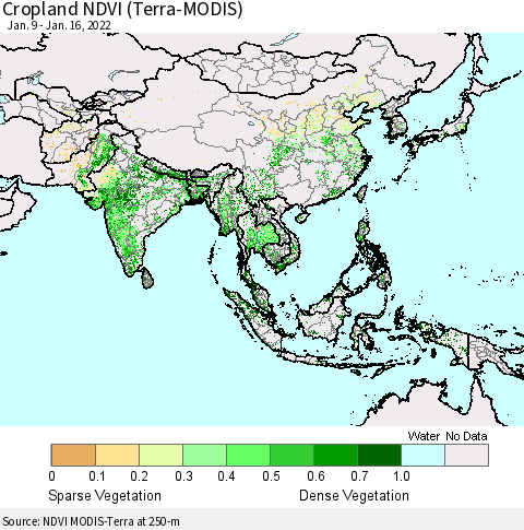 Asia Cropland NDVI (Terra-MODIS) Thematic Map For 1/9/2022 - 1/16/2022