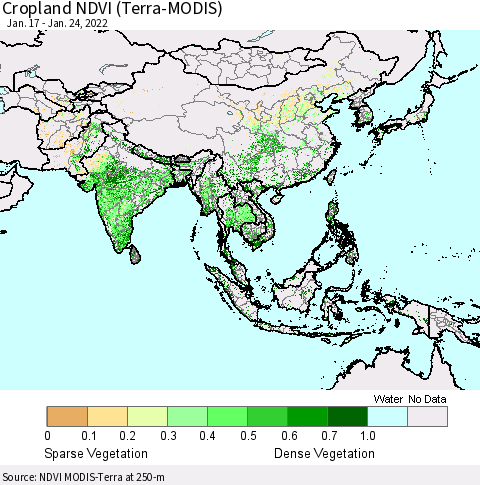 Asia Cropland NDVI (Terra-MODIS) Thematic Map For 1/17/2022 - 1/24/2022