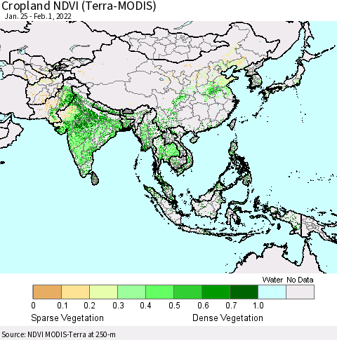 Asia Cropland NDVI (Terra-MODIS) Thematic Map For 1/25/2022 - 2/1/2022
