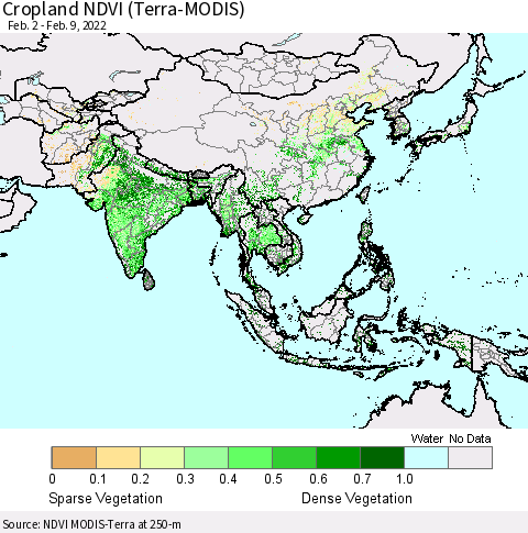 Asia Cropland NDVI (Terra-MODIS) Thematic Map For 2/2/2022 - 2/9/2022
