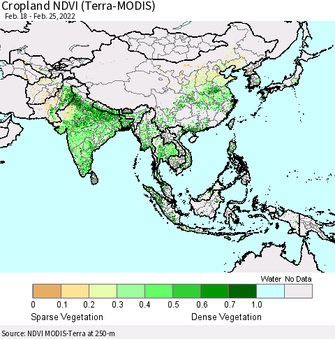 Asia Cropland NDVI (Terra-MODIS) Thematic Map For 2/18/2022 - 2/25/2022