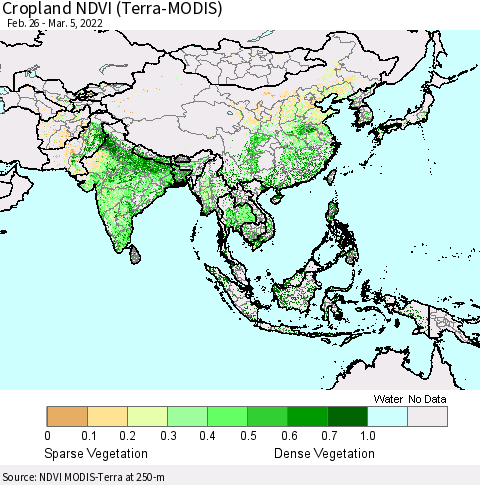 Asia Cropland NDVI (Terra-MODIS) Thematic Map For 2/26/2022 - 3/5/2022