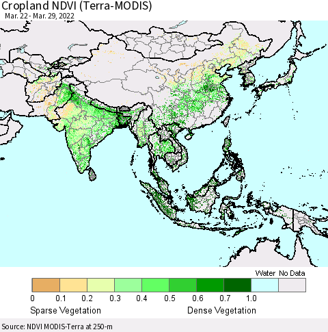Asia Cropland NDVI (Terra-MODIS) Thematic Map For 3/22/2022 - 3/29/2022