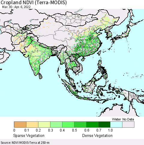 Asia Cropland NDVI (Terra-MODIS) Thematic Map For 3/30/2022 - 4/6/2022