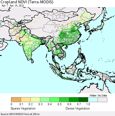 Asia Cropland NDVI (Terra-MODIS) Thematic Map For 4/7/2022 - 4/14/2022