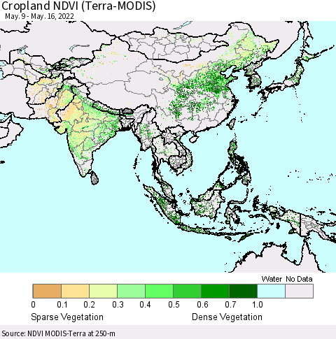 Asia Cropland NDVI (Terra-MODIS) Thematic Map For 5/9/2022 - 5/16/2022